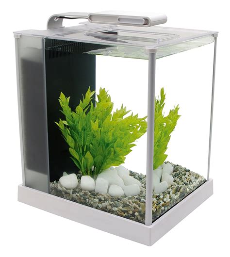 3 gal fish tank|best 3 gallon fish tank.